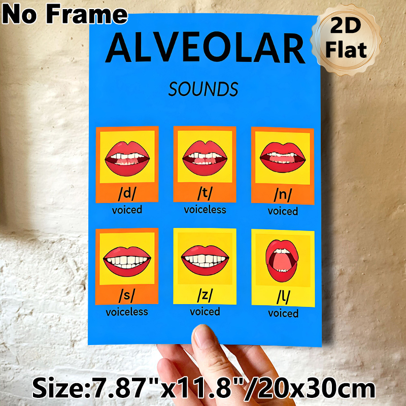Alveolar Sounds Painting Poster, Bright & Clear Phonetics Chart Poster, Displays Mouth Shapes For English Alveolar Sounds, Helpful For Pronunciation_maomaolike.com