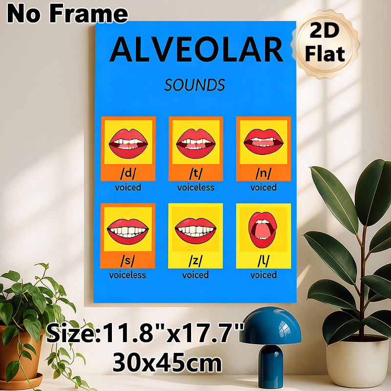 Alveolar Sounds Painting Poster, Bright & Clear Phonetics Chart Poster, Displays Mouth Shapes For English Alveolar Sounds, Helpful For Pronunciation_maomaolike.com