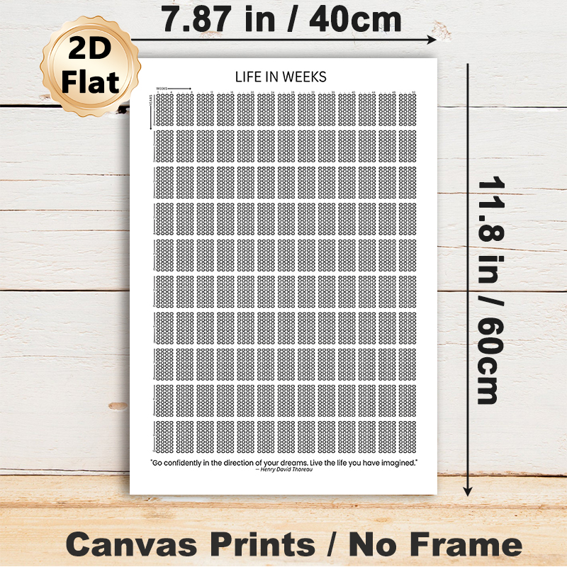 Life In Weeks Painting Poster, Minimalist Black-and-White Weekly Grid Poster, Helps Track Life's Passage With Inspirational Quote, Suitable For Home_maomaolike.com