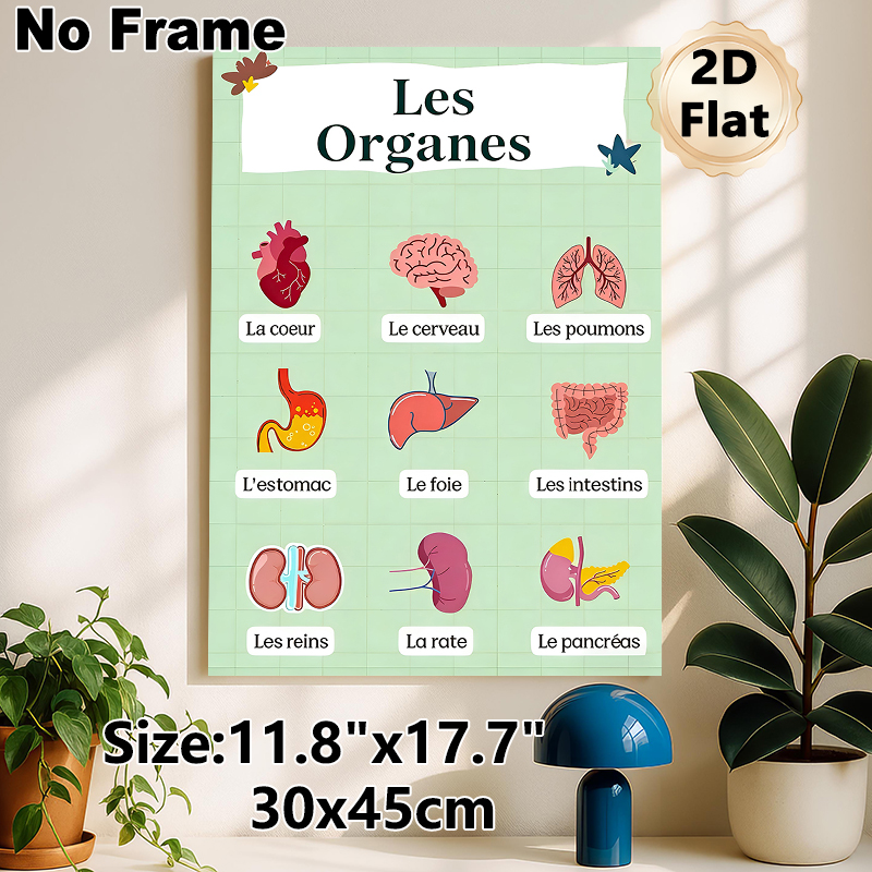 French-Labeled Human Organs Painting Poster, Bright Cartoon-style Anatomical Poster, Informative Design For Learning French Organ Terms, Ideal For_maomaolike.com