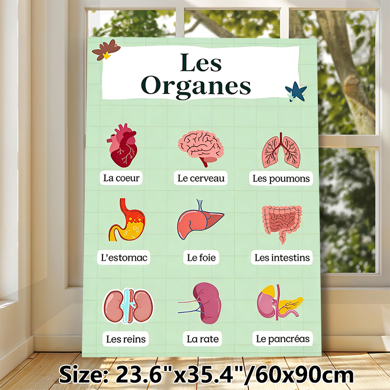 French-Labeled Human Organs Painting Poster, Bright Cartoon-style Anatomical Poster, Informative Design For Learning French Organ Terms, Ideal For_maomaolike.com