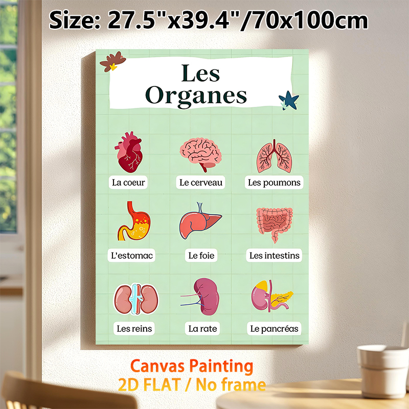 French-Labeled Human Organs Painting Poster, Bright Cartoon-style Anatomical Poster, Informative Design For Learning French Organ Terms, Ideal For_maomaolike.com