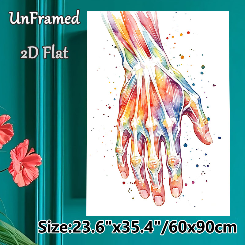 Hand Anatomy Painting Poster, Vibrant Watercolor Detailed Hand Muscle & Skeletal Structure Poster, Educational Anatomical Decor Suitable For Clinic_maomaolike.com